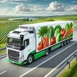 Top Tips for Transporting Fresh Vegetables Over Long Distances