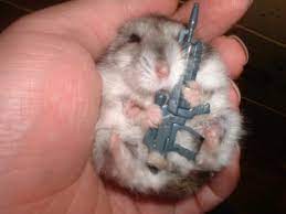 Pin On Squeee