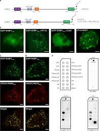 We did not find results for: R2 Njlkw8dzrim