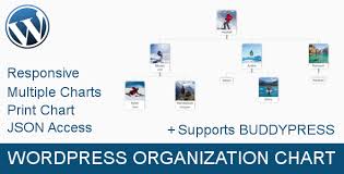 Wordpress Organization Chart Display Your Team Like A Pro