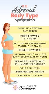 Check spelling or type a new query. Is There Such A Thing As An Adrenal Body Type In 2021 Adrenal Body Type Adrenal Health Hormone Health