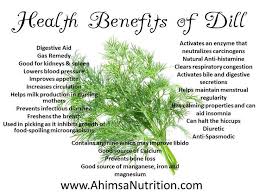 Dill Anethum Graveolens Planet Mercury Element Fire Description Herb Part Used Seed Plant Uses Protection Banishing Mental Cla Herbs Dill Health Benefits