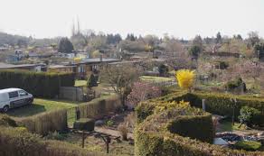 Gartenverein Am Goldberg E V Halle Saale Freie Garten