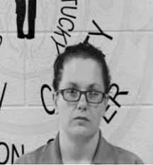 Two county law enforcement pursuit ends in Bath County