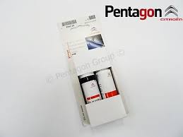 Image result for Noir Obsidian 2011 Citroen