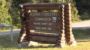 Fire pit laws in georgia. How Georgia S New Burn Law Impacts Walker County Residents Walker County Ga Official Government Site