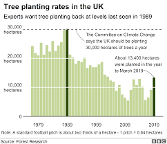 Climate Change Tree Planting Rise Needs To Happen Quickly