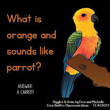 Tonight S Joke For Tomorrow S Students What Is Orange And Sounds Like Parrot A Carrot Tonightsjokef Stupid Jokes Funny Puns Jokes Funny Jokes For Kids