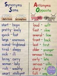 synonyms antonyms anchor chart with a freebie