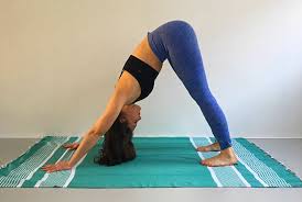Neerkijkende Hond Downward Facing Dog In Yoga Wereld Van Yoga