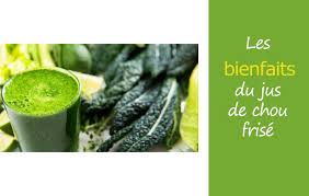 L'usage de cette machine permet d'obtenir un véritable concentré d'oligo élément, de minéraux et de vitamine. Les Bienfaits Du Jus De Chou Frise Chou Kale