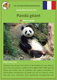 Les animaux sont nos plus jeunes frères. Fiches Animaux Pedagogiques Pdf Diconimoz