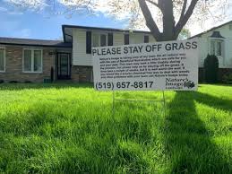 Contact us today to create the perfect plan to improve your lawn! Lawn Care Nature S Image