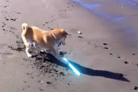 We regularly add new gif animations about and. Steam Community Doge Coin