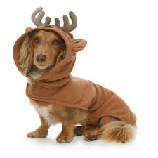 Pet Jammies Dog Reindeer Costume Nwt