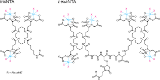 Find detailed product information for scientific & industrial measuring instrument. Ultrafast In Gel Detection By Fluorescent Super Chelator Probes With Hisquick Page Communications Biology