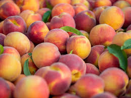 The peach (prunus persica) is a deciduous tree native to the region of northwest china between the tarim basin and the north slopes of the kunlun mountains. Tree Ripe Fruit Co Is Back With Peaches Pecans For Pick Up