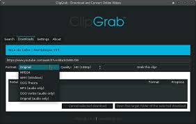 Here's a list of 5 online tools to download your youtube audio online for free: How To Download Youtube Videos The Easy Gui Way Tutorials Manjaro Linux Forum