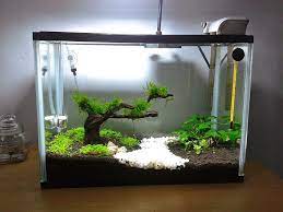 Selanjutnya air dari aquarium ke 2 turun lagi ke aquarium ke 3 dan juga pada sisi lain terdapat air yang langsung berjatuhan ke aquarium ke 3. Daftar 8 Alat Penjernih Air Terbaik Untuk Aquarium Reva Pedia