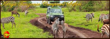 Being tanzanian, i may be accused of pulling the skin to my side. Kenya Tanzania Safari Ngorongoro Crater Safari Holidays