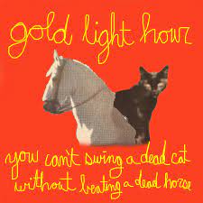 You Can T Swing A Dead Cat Without Beating A Dead Horse Gold Light Hour