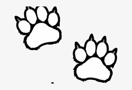 The resolution of image is 640x480 and classified to tiger, tiger head, tiger face. Scratches Clipart Tiger Paw Tiger Paws Coloring Pages Transparent Png 640x480 Free Download On Nicepng