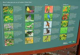 Various Flora And Fauna At Lardner S Point Park In The Tacony Section Of Philadelphia Along The Delaware River Delaware River River Park