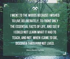 I Went Into The Woods Because I Wished To Live Deliberately Henry David Thoreau 940 788 Oc Quotethee Daily Quotes For Inspiration Motivation