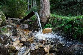 Betroffen sind demnach nicht nur. Was Passiert Wenn Man Auf Einer Wasserader Schlaft