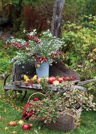 Pin On Cottage Garten Im Herbst