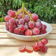 Check spelling or type a new query. 21 Gambar Buah Anggur Merah Dan Berbagai Varietas Populer Lainnya