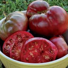 .near the black sea, black krim organic tomato seeds grow plants that are exceptionally hardy. Black Krim Tomato Seed Savers Exchange