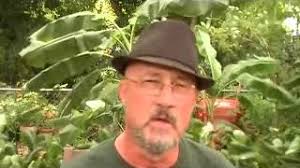 Zahraniční vlogeři 1.