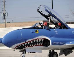 The show is an aeronautical display of military, . Toronto Air Show 5 20120831
