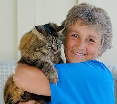 All Pets Veterinary Hospital Team