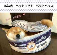 楽天市場 正規販売代理店 ペットベッド 缶詰 猫 犬 中型犬でもok 小動物 ペット用 缶詰め ペットハウス おしゃれ おもしろい インテリア 室内 屋内 赤 レッド ツナ缶 青 ブルー とりそぼろ リアル つめとぎ付き 爪とぎ takanawa selected ペットベッド 犬 ペット