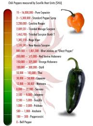 heat index types of chili peppers and their heat index