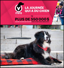 We did not find results for: Fondation Mira 3e Edition De La Journee Qui A Du Chien