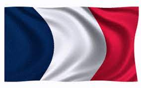 Use this france flag cartoon svg for crafts or your graphic designs! 35 Great French Flag