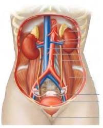 Berdasarkan bangun datar yang kamu temukan pada gambar pawai budaya, kelompokkan mana yang termasuk segi banyak dan bukan segi banyak. Jawaban Ipa Kelas 7 Halaman 20 21 Semester 2 Brainly Co Id