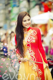 Contact Support Vietnamese Long Dress Ao Dai Vietnamese Dress