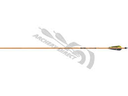 Xt hunter 5575 dozen black shafts xt55s. Fertigpfeil Gold Tip Traditionell 4 Nf Inkl Insert Ohne Spitze Archery Direct Pfeil Und Bogen