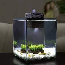 Dot Bo Furniture And Decor For The Modern Lifestyle Aquarium Design Aquarium Betta Fish Tank