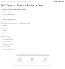 Student will also use the photosynthesis worksheet to practice labeling various. 33 Student Worksheet For Microslide Lesson Set 59 Photosynthesis Answers Worksheet Project List