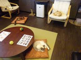 著有《陸．海．空交通工具遊戲書》、《陸．海．空建築工程大集合》等多本知識類圖書。 迪迪耶．巴力席維 didier balicevic 1974年出生於法國，他在完成學業後，花了很多時間到處旅行，也曾在英國待了兩年，目前從事兒童雜誌的插畫工作，經常與法國知名. ç«å«è¶ ç©ºé¸å®¶ æ°åæ¥å¸åº ãã³ã­ããµ ã¯ã¦ãªã¯ã¤ æ¥æ°¸ ãã®ä» é£ã¹ã­ã°