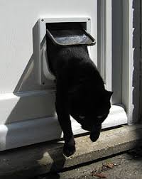 It is fit for dogs and cats. Pet Door Wikipedia