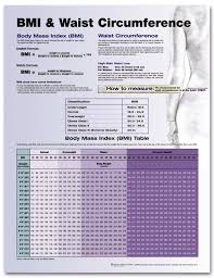 Although The Bmi Calculator Does Not Take Into Consideration