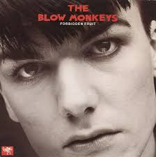 The Blow Monkeys