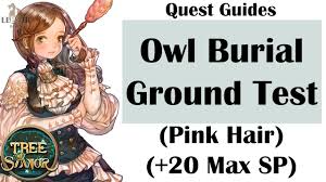Tree Of Savior Icbt2 Owl Burial Ground Test Pink Hair 20 Sp Potion Youtube