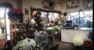 Maybe you would like to learn more about one of these? Best Florists Flower Delivery In Norwalk Ct 2021